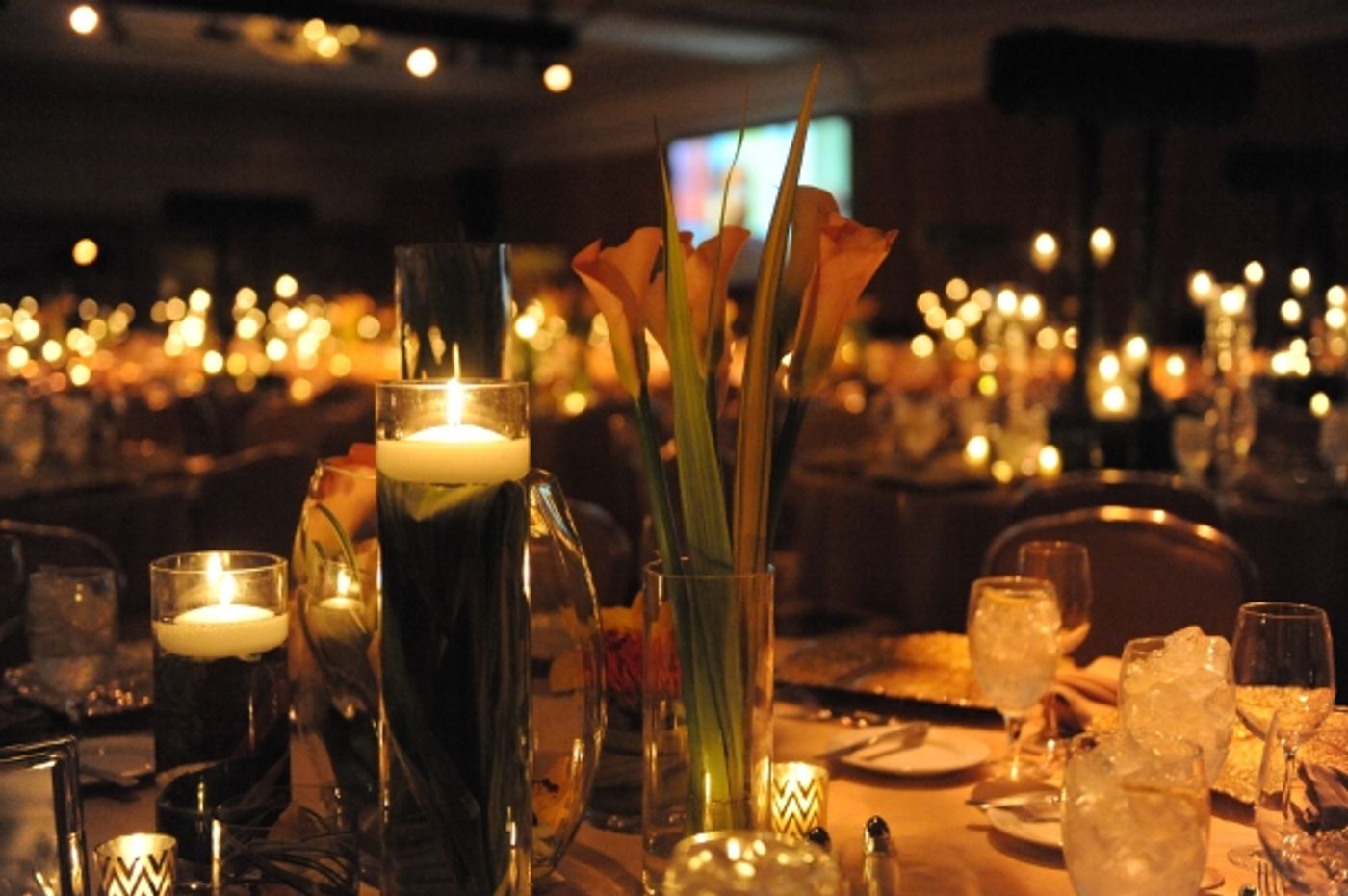 Photo Flash: Hubbard Street Dance Chicago Honors Mikhail Baryshnikov at Season 36 Spotlight Ball  Image