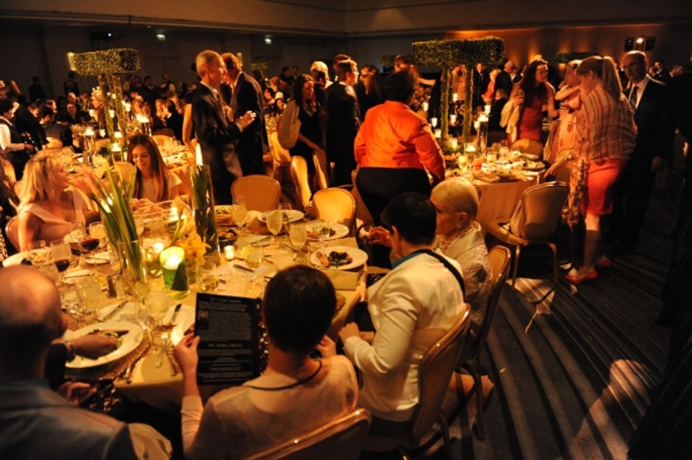 Photo Flash: Hubbard Street Dance Chicago Honors Mikhail Baryshnikov at Season 36 Spotlight Ball  Image