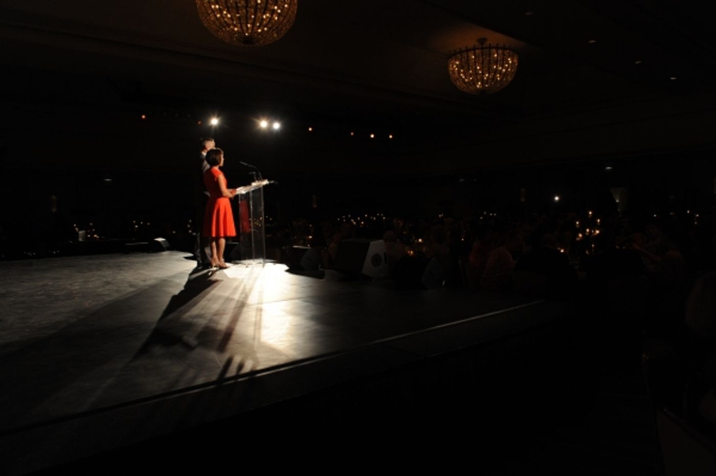 Photo Flash: Hubbard Street Dance Chicago Honors Mikhail Baryshnikov at Season 36 Spotlight Ball  Image