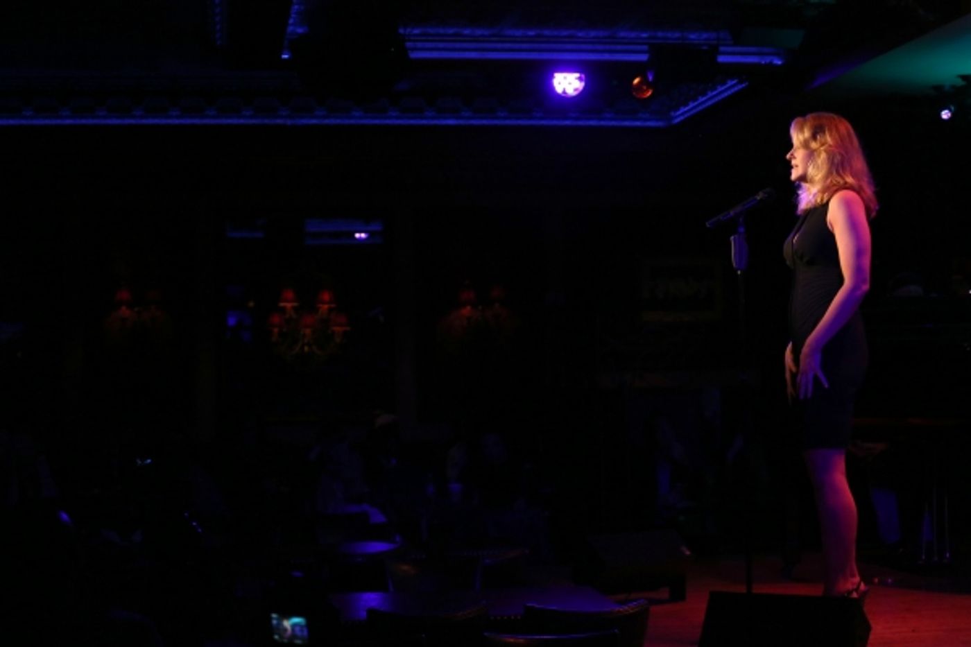 Photo Coverage: Katie Finneran Previews IT MIGHT BE YOU at 54 Below!  Image