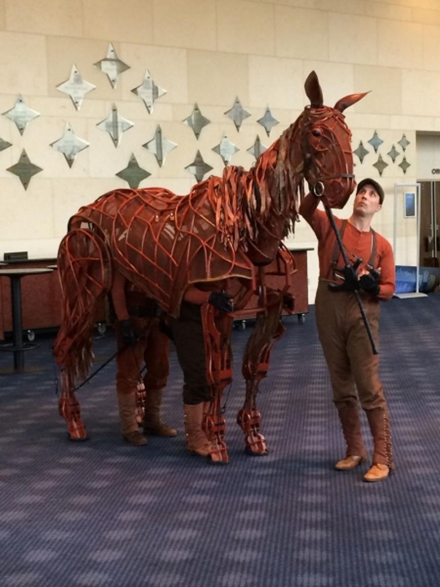 Photo Flash: 'Joey' from WAR HORSE Visits the Hobby Center  Image