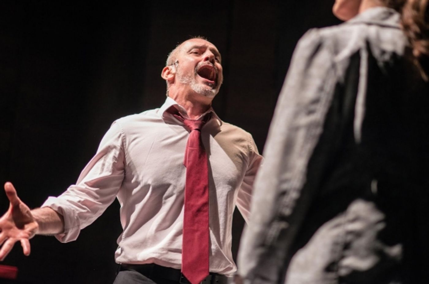 Photo Flash: First Look at Jerome Pradon, Charlotte Wakefield & More in PICTURE PERFECT  Image