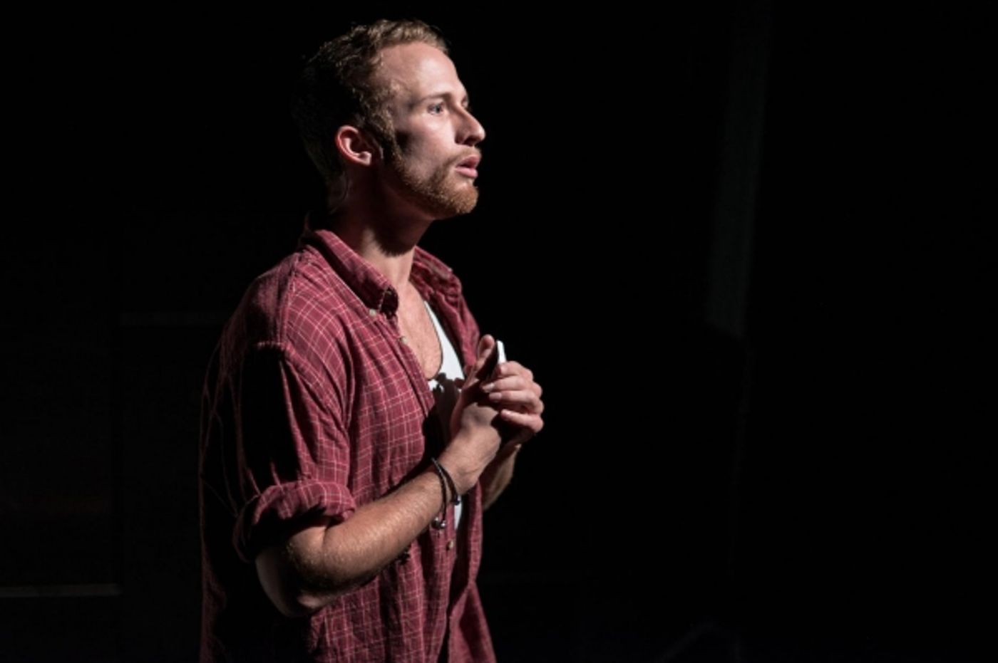 Photo Flash: First Look at Jerome Pradon, Charlotte Wakefield & More in PICTURE PERFECT  Image