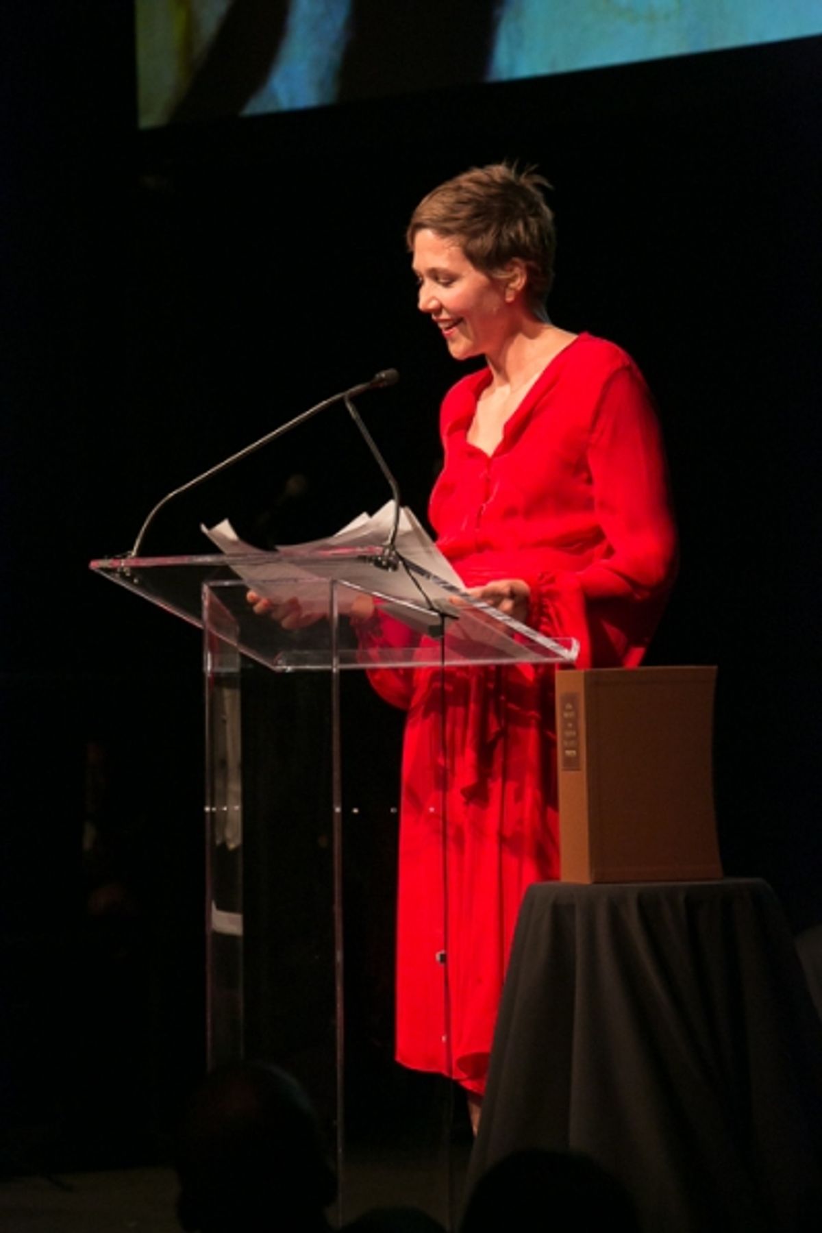 Maggie Gyllenhaal reading Anna Karenina at 