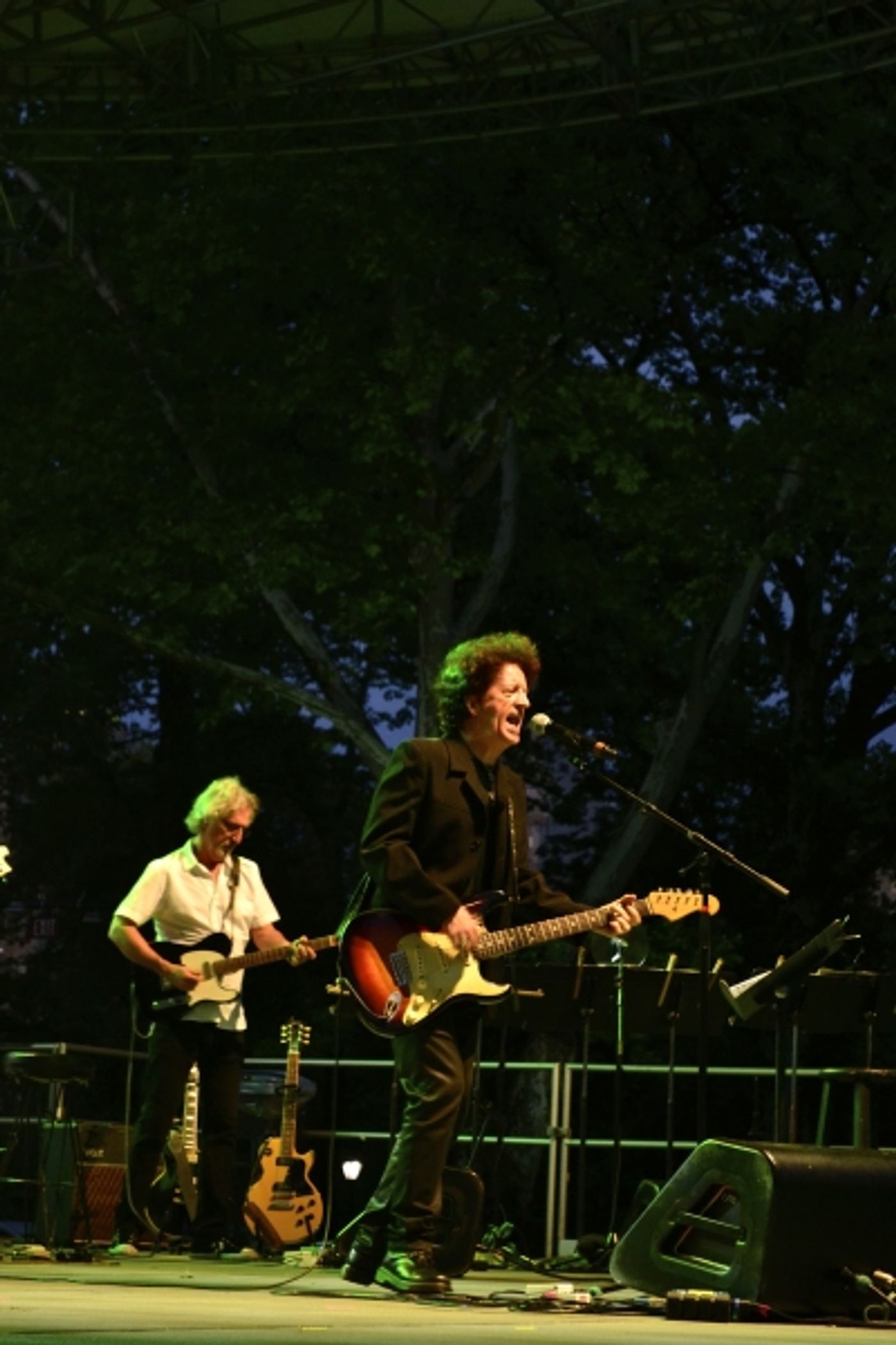 Photo Flash: Inside the 2014 City Parks Foundation Gala - THE BEATLES Image
