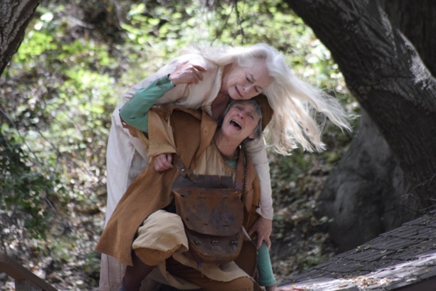Photo Flash: Theatricum Botanicum's LEAR, Opening Tonight  Image