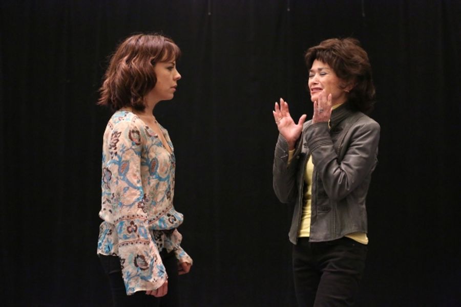 Photo Coverage: Zak Resnick, Leslie Kritzer & More Preview PIECE OF MY HEART! Image