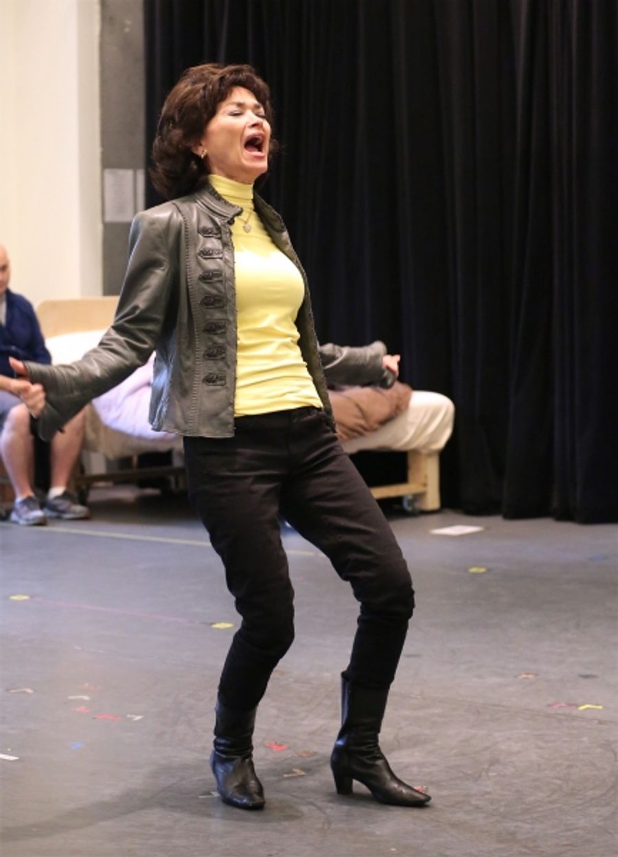 Photo Coverage: Zak Resnick, Leslie Kritzer & More Preview PIECE OF MY HEART! Image
