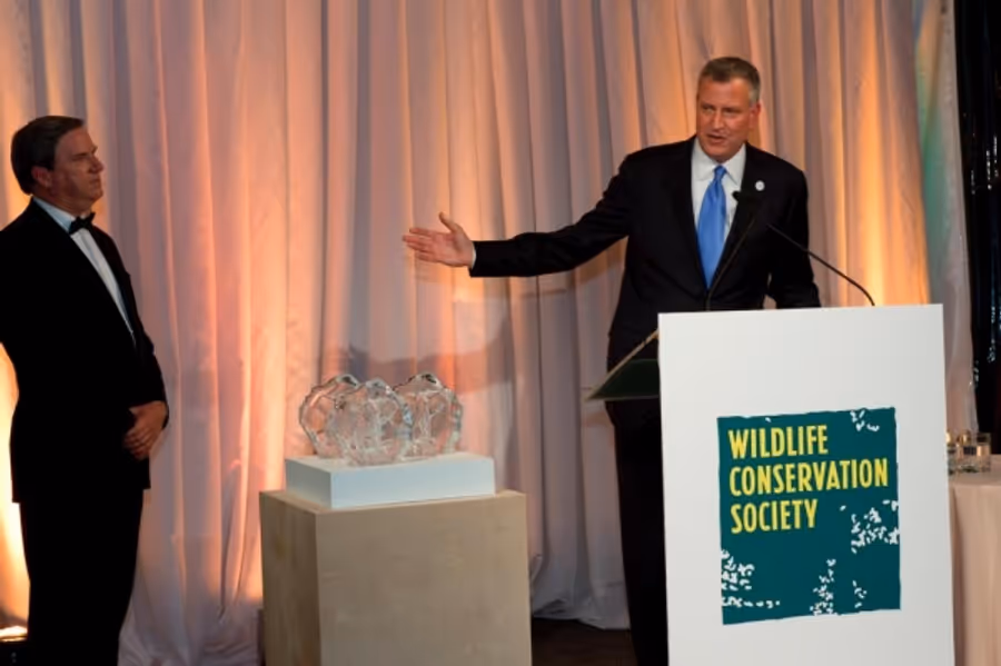 Photo Flash: WCS Honors Hillary Clinton at Annual Gala Image