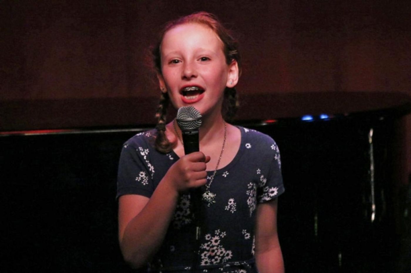 Photo Flash: Donnie Kehr, Mira Cohen and More at Jim Caruso's Cast Party at Birdland  Image