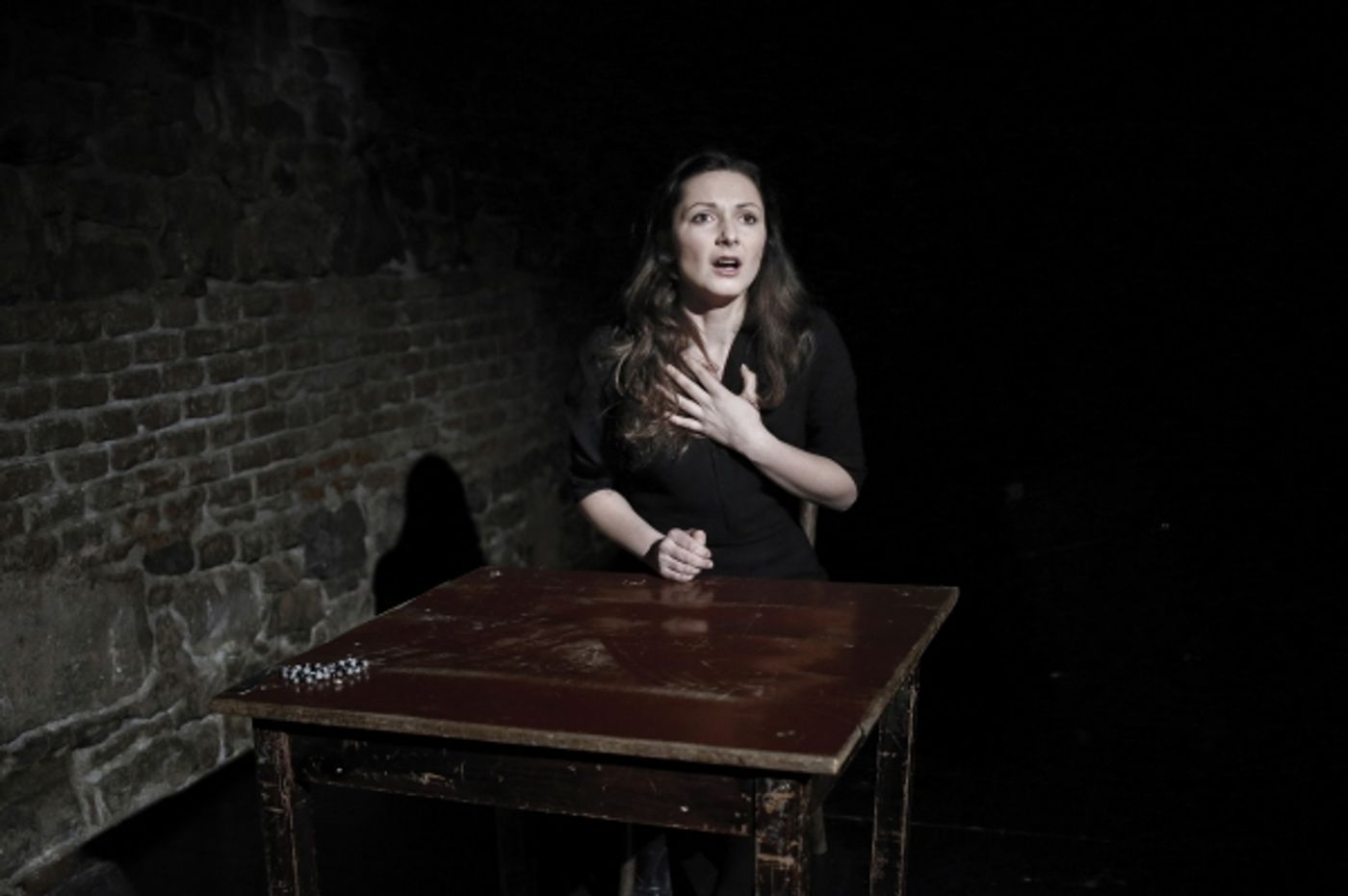 Photo Flash: Svandovo Divadlo's THE GOOD AND THE TRUE Begins Tonight Off-Broadway  Image