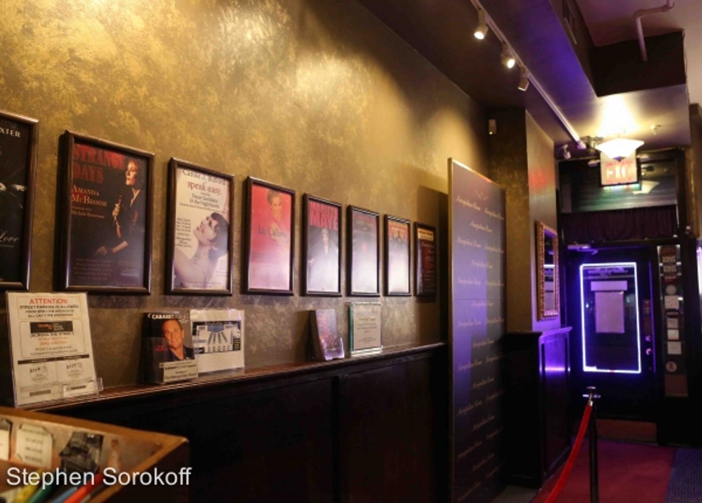 Photo Coverage: Carole J. Bufford Brings SHADES OF BLUE to the Metropolitan Room Photo Coverage: Carole J. Bufford Brings SHADES OF BLUE to the Metropolitan Room Image