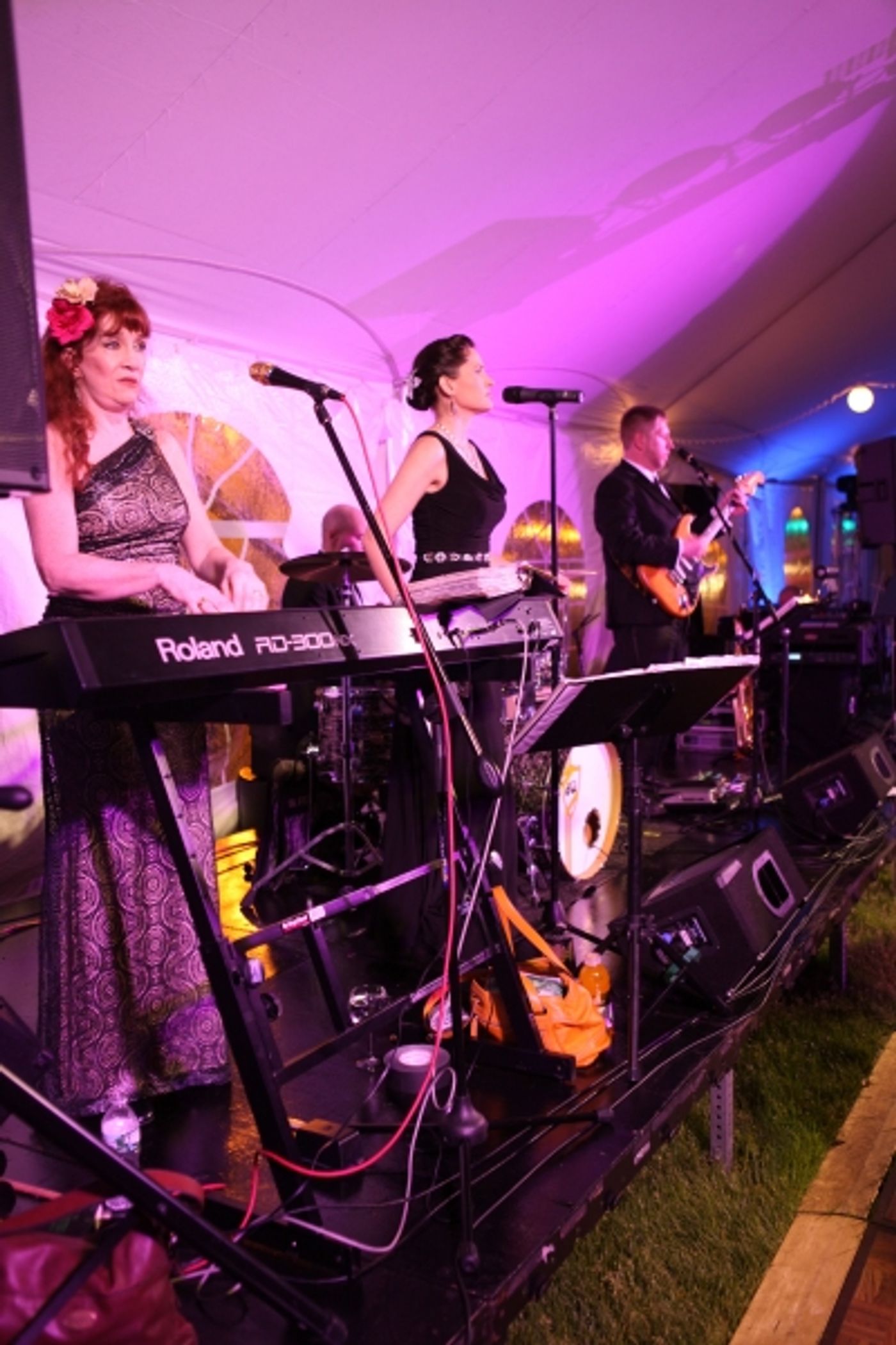 Photo Flash: 2014 Mayor's Charity Ball Raises Funds and Awareness  Image