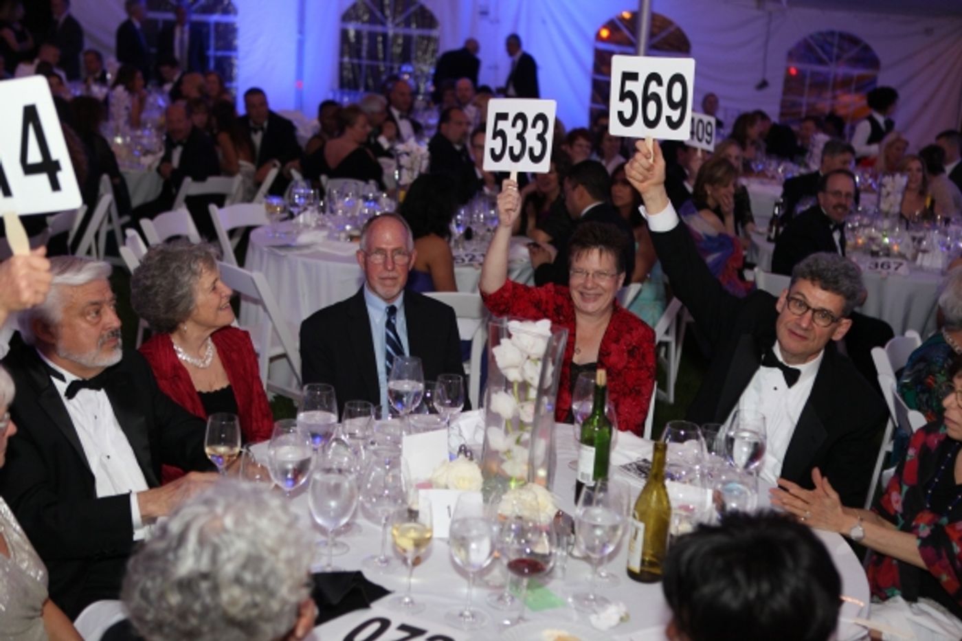 Photo Flash: 2014 Mayor's Charity Ball Raises Funds and Awareness  Image