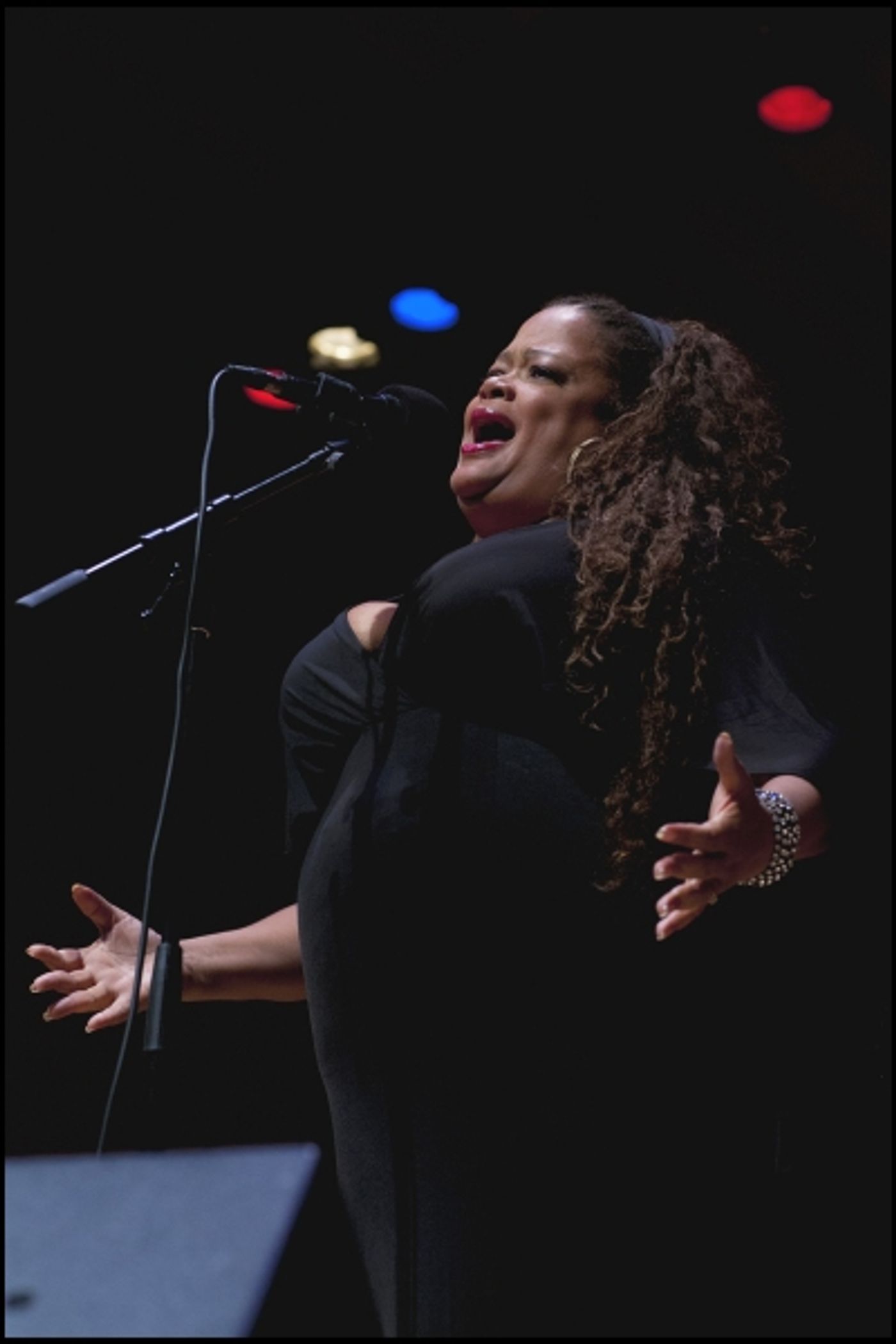 Photo Flash: Justin Sayre, Austin Scarlett, Alison Fraser, Jackie Hoffman and More at 4th Annual NIGHT OF A THOUSAND JUDYS Image