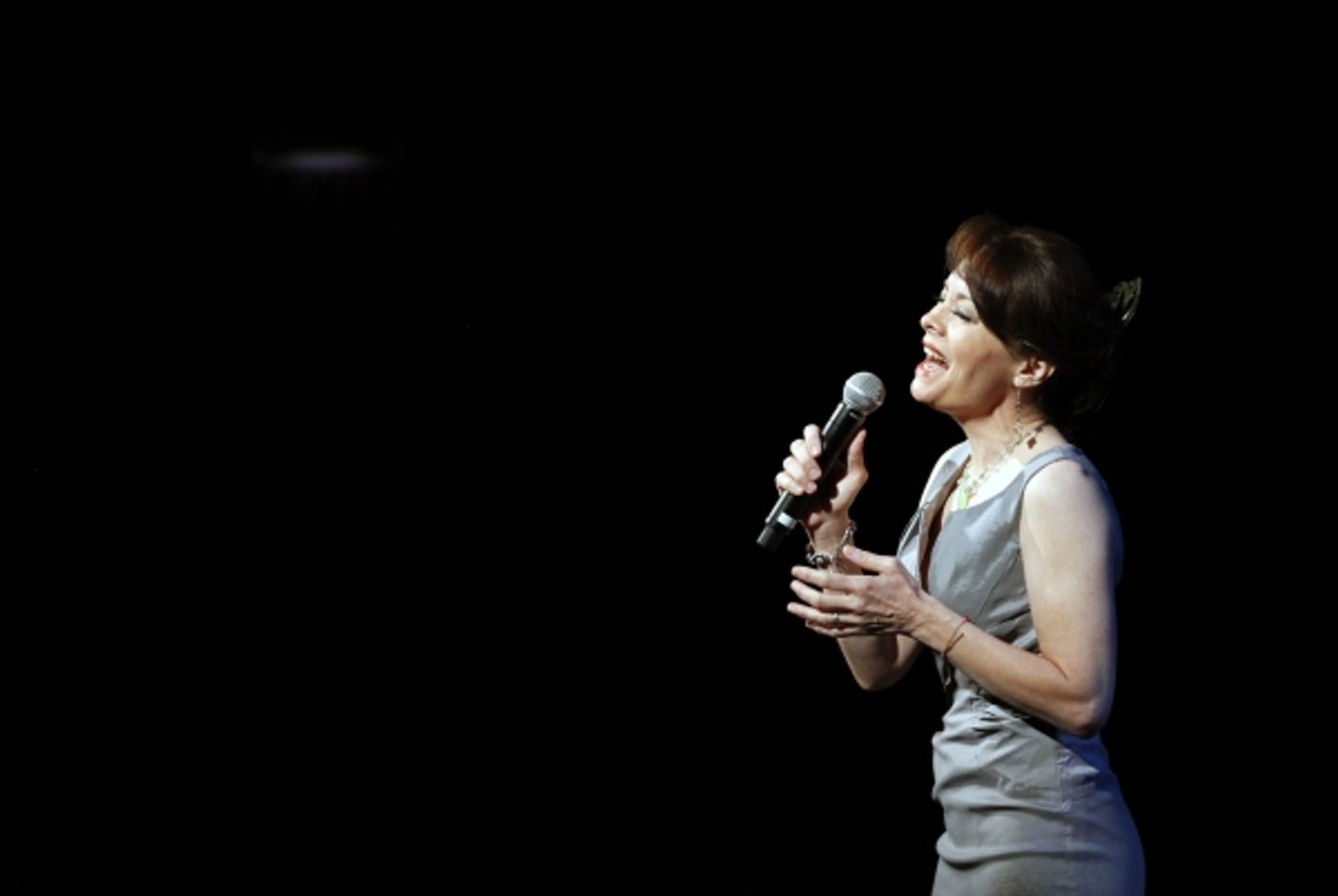 Photo Flash: Chicago Shakespeare's GALA 2014 Photo Flash: Chicago Shakespeare's GALA 2014 Image