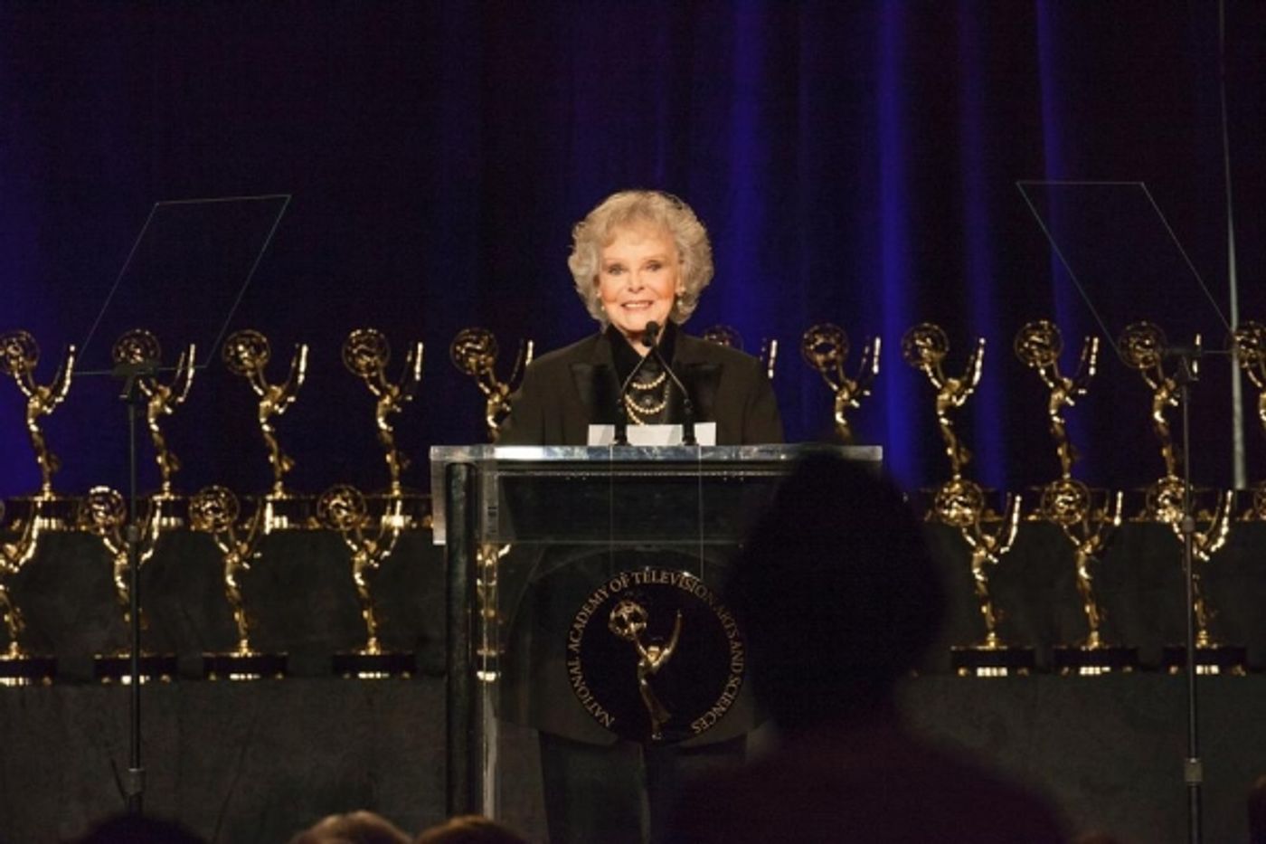 Photo Flash: Hayley Faith Negrin, June Lockhart and More at 41st Daytime Creative Arts Emmy Awards  Image