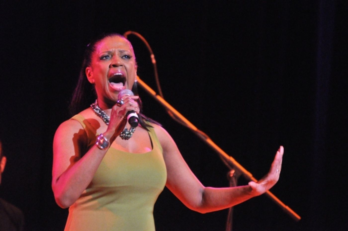 Photo Coverage: Inside THE BROADWAY MUSICALS OF 1990-2014- The Women Image