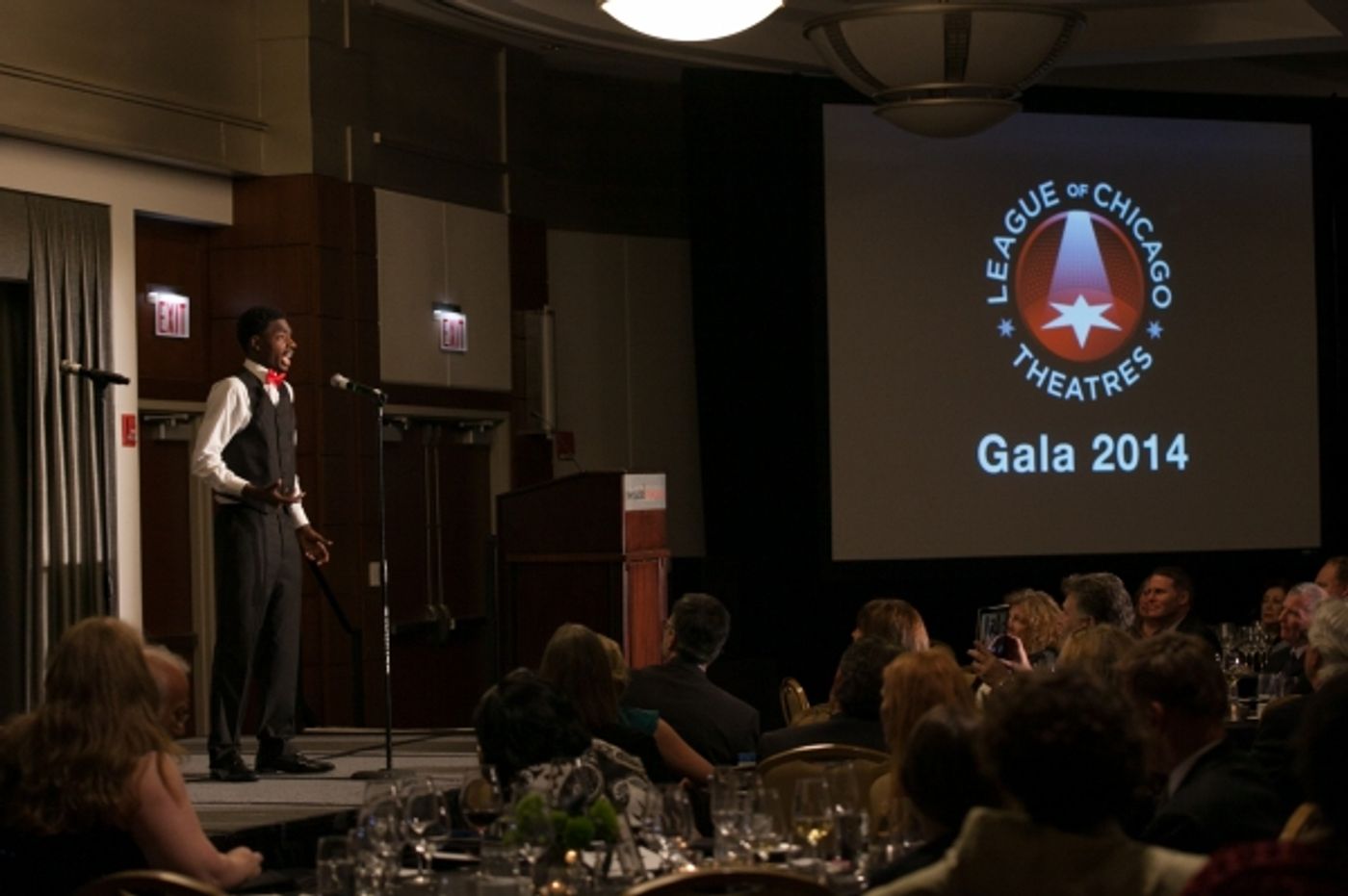 Photo Flash: First Look at 2014 League of Chicago Theatres' Gala  Image