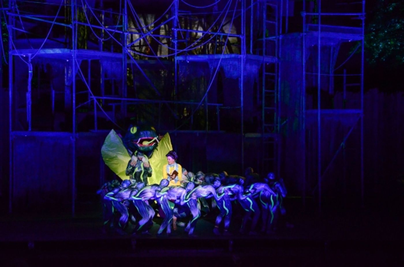 Photo Flash: First Look at Nicholas Rodriguez, Kate Rockwell, Quentin Earl Darrington & More in TARZAN at the Muny!  Image
