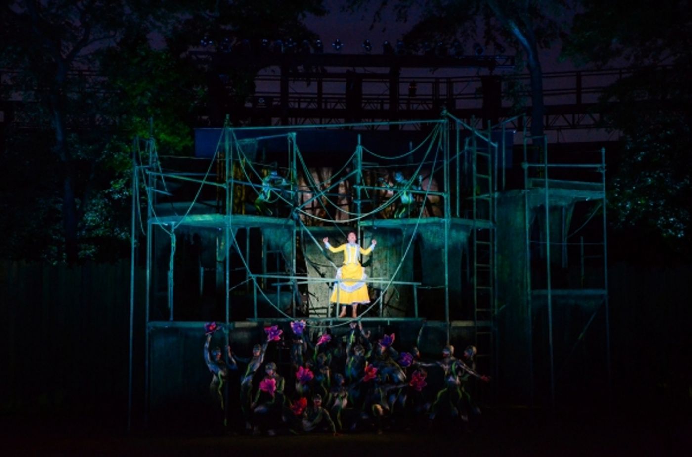 Photo Flash: First Look at Nicholas Rodriguez, Kate Rockwell, Quentin Earl Darrington & More in TARZAN at the Muny!  Image