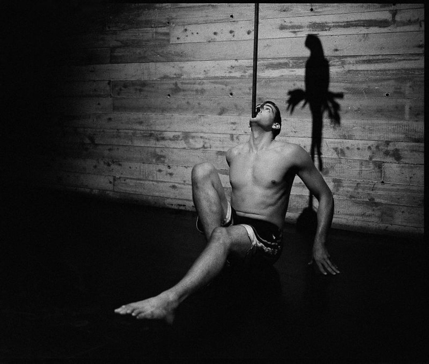 Exclusive! Real World HEDWIG & THE ANGRY INCH Figures In New York Times Magazine Photo Essay  Image