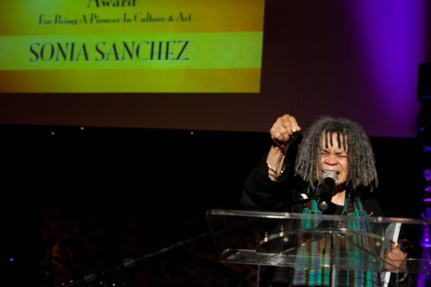 Photo Flash: National Black Theatre Celebrates 2014 Spirit Awards Gala Photo Flash: National Black Theatre Celebrates 2014 Spirit Awards Gala Image