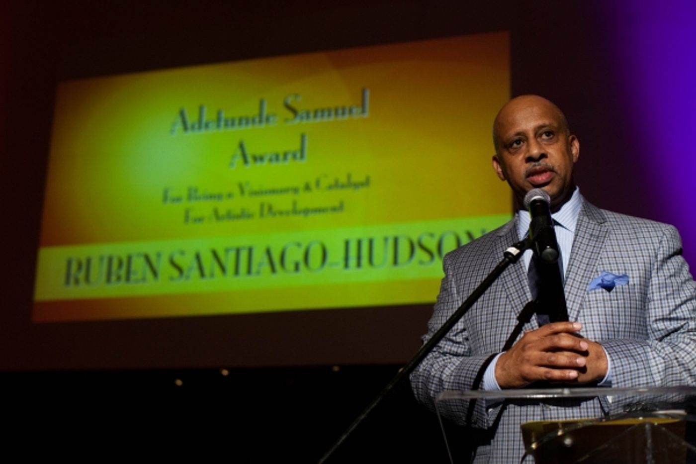 Photo Flash: National Black Theatre Celebrates 2014 Spirit Awards Gala Photo Flash: National Black Theatre Celebrates 2014 Spirit Awards Gala Image