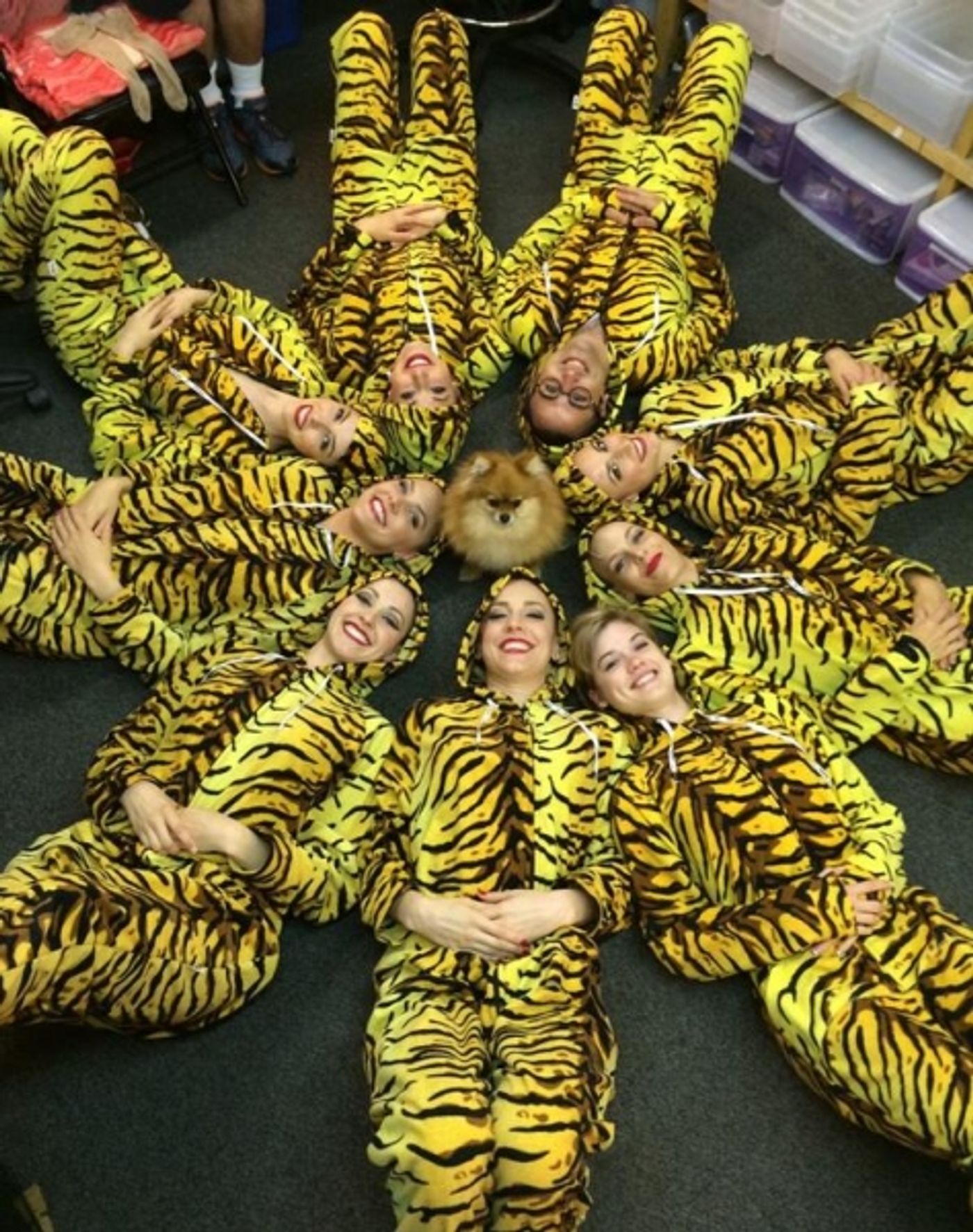 Photo Flash: Saturday Intermission Pics, July 5- BULLETS, CINDERELLA, NEWSIES and More Lounge Post-Holiday Photo Flash: Saturday Intermission Pics, July 5- BULLETS, CINDERELLA, NEWSIES and More Lounge Post-Holiday Image