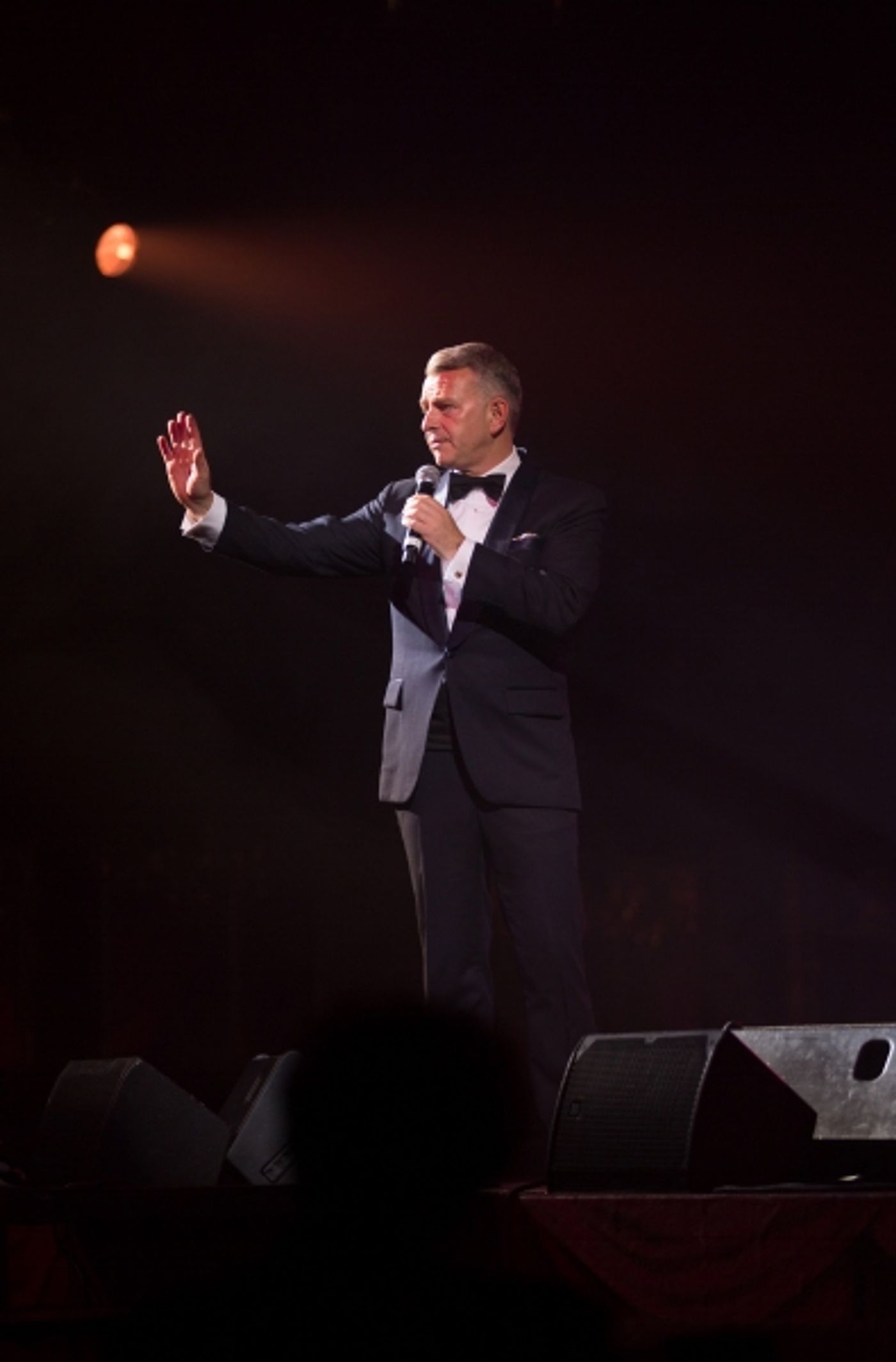 Photo Flash: Production Photos Released for SINATRA: THE MAIN EVENT, Now Through Sept 6  Image