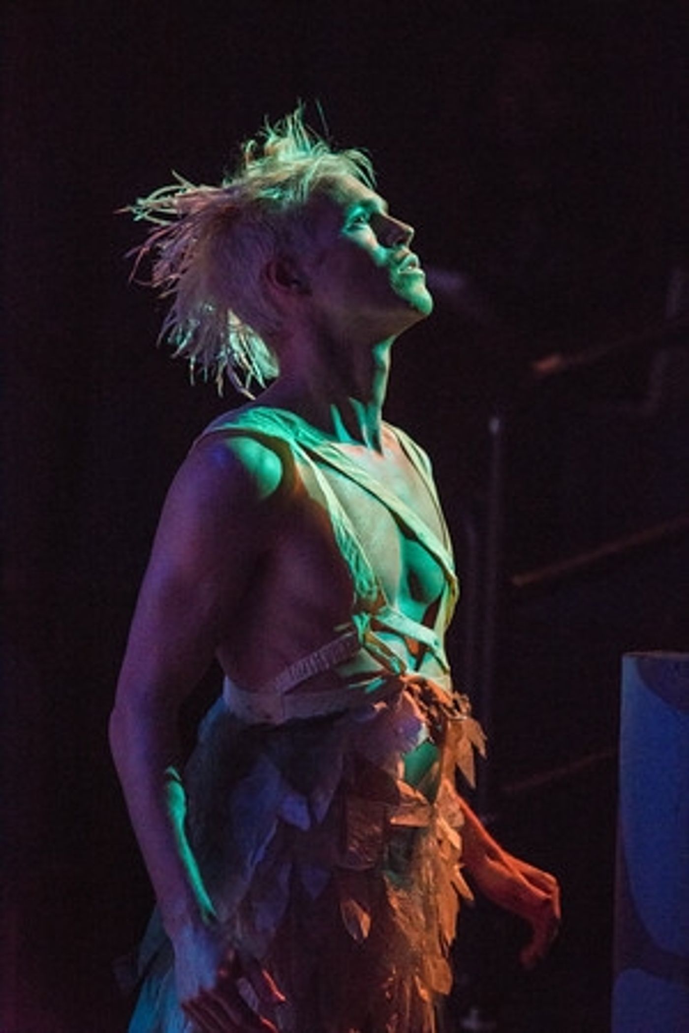 Photo Flash: First Look at Portland Shakespeare Project's THE TEMPEST, with Linda Alper, Matt Kerrigan & Mike Dunay  Image