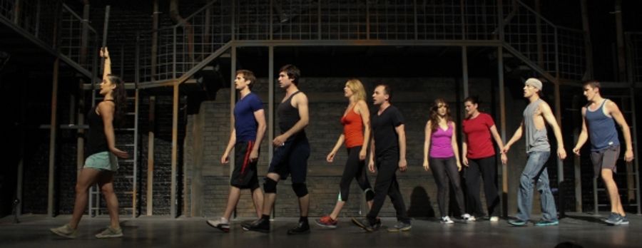 Photo Coverage: Cady Huffman, Kate Shindle & More Preview REVOLUTION IN THE ELBOW OF RAGNAR AGNARSSON FURNITURE PAINTER Image