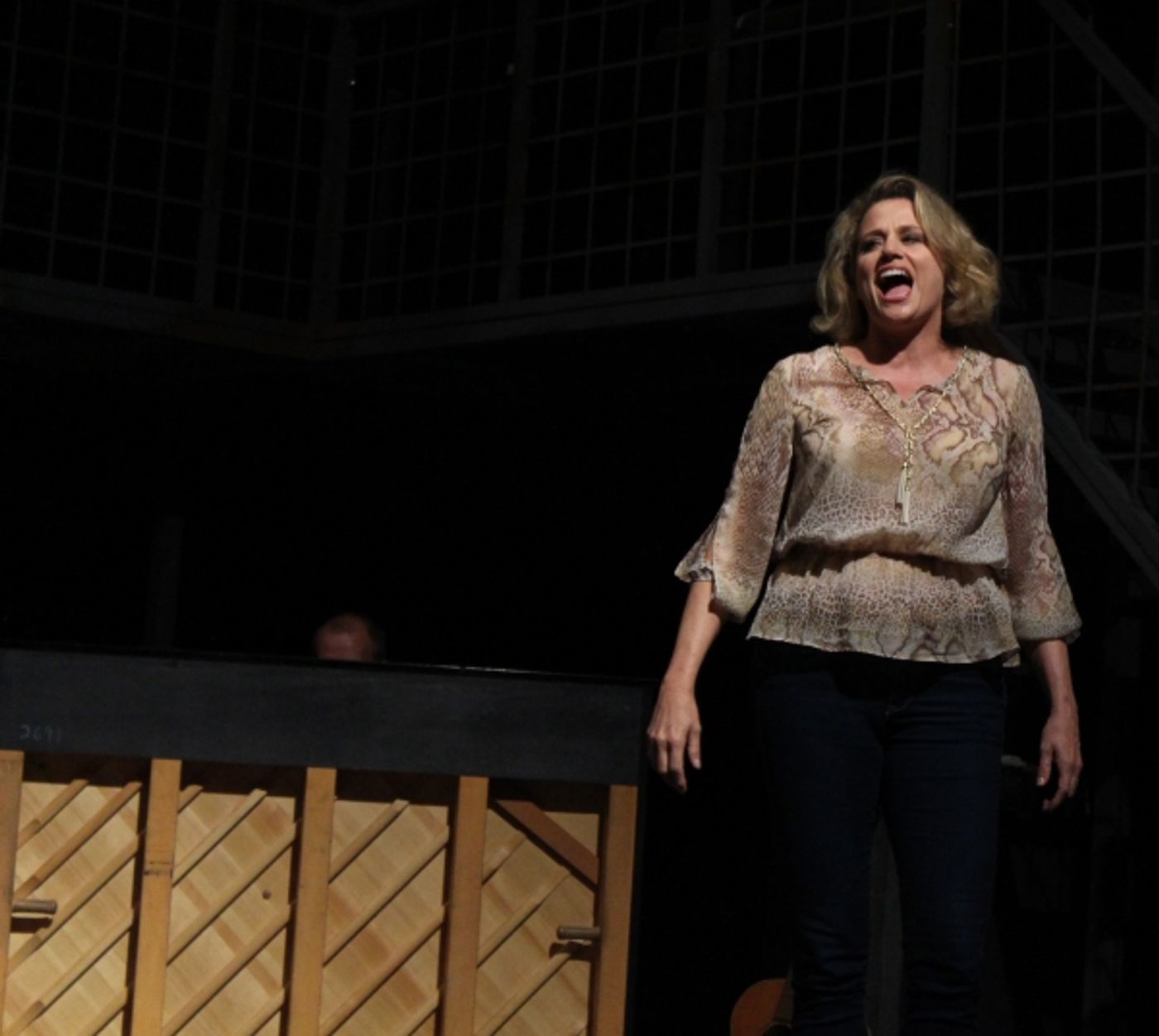 Photo Coverage: Cady Huffman, Kate Shindle & More Preview REVOLUTION IN THE ELBOW OF RAGNAR AGNARSSON FURNITURE PAINTER  Image