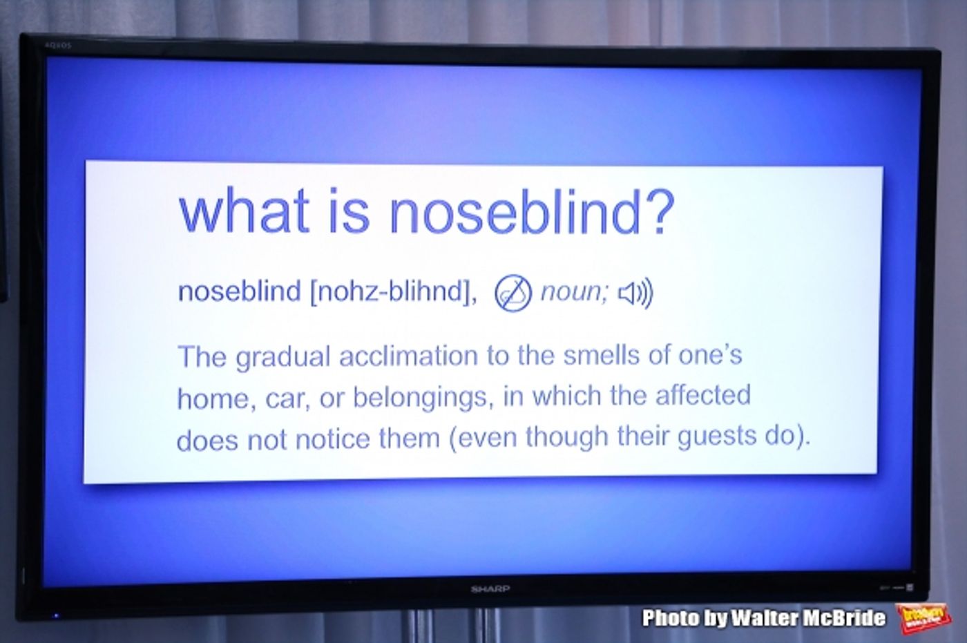 Photo Coverage: GLEE's Jane Lynch Launches 'Noseblindness' Campaign with Febreze  Image