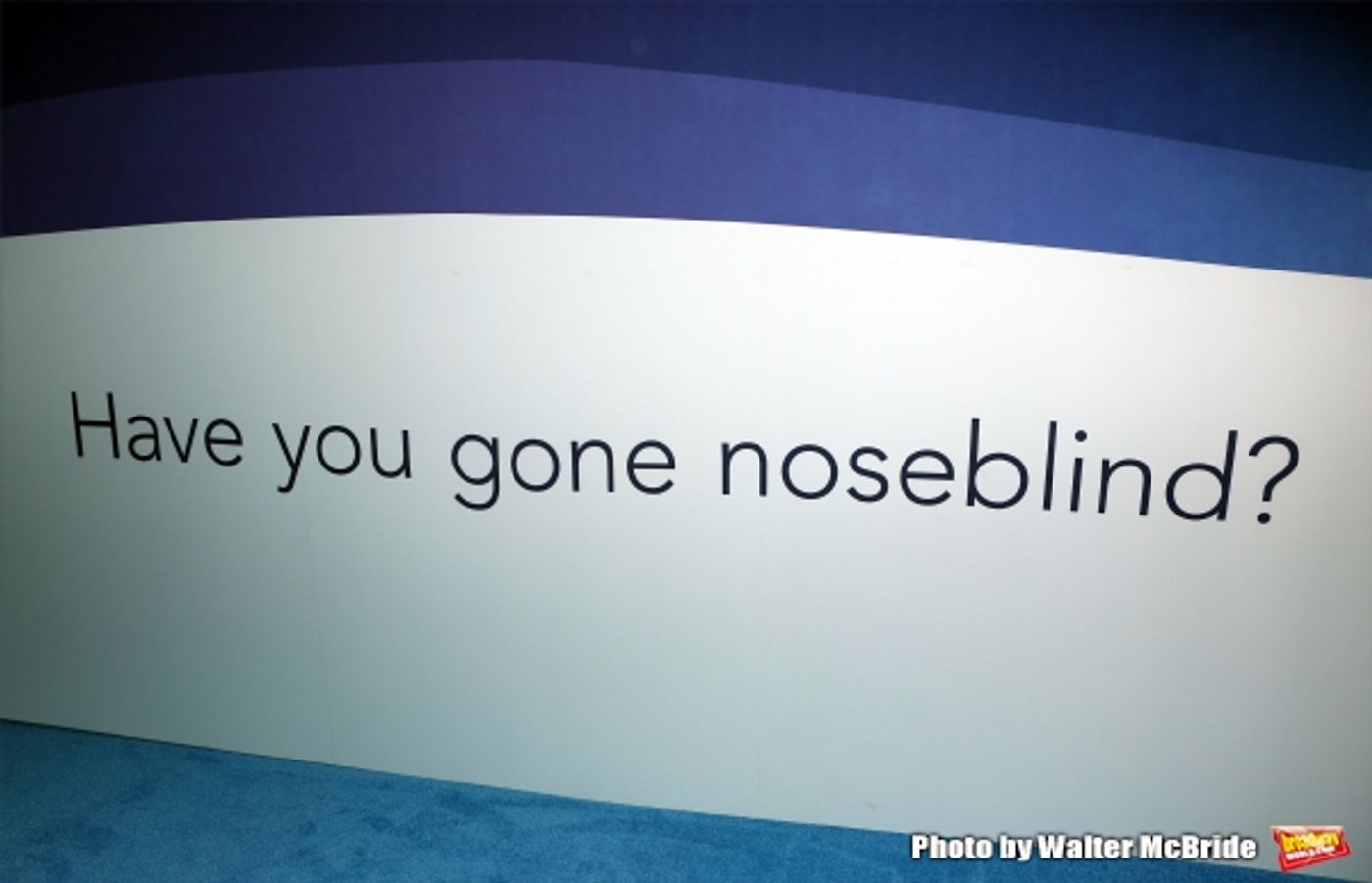 Photo Coverage: GLEE's Jane Lynch Launches 'Noseblindness' Campaign with Febreze  Image