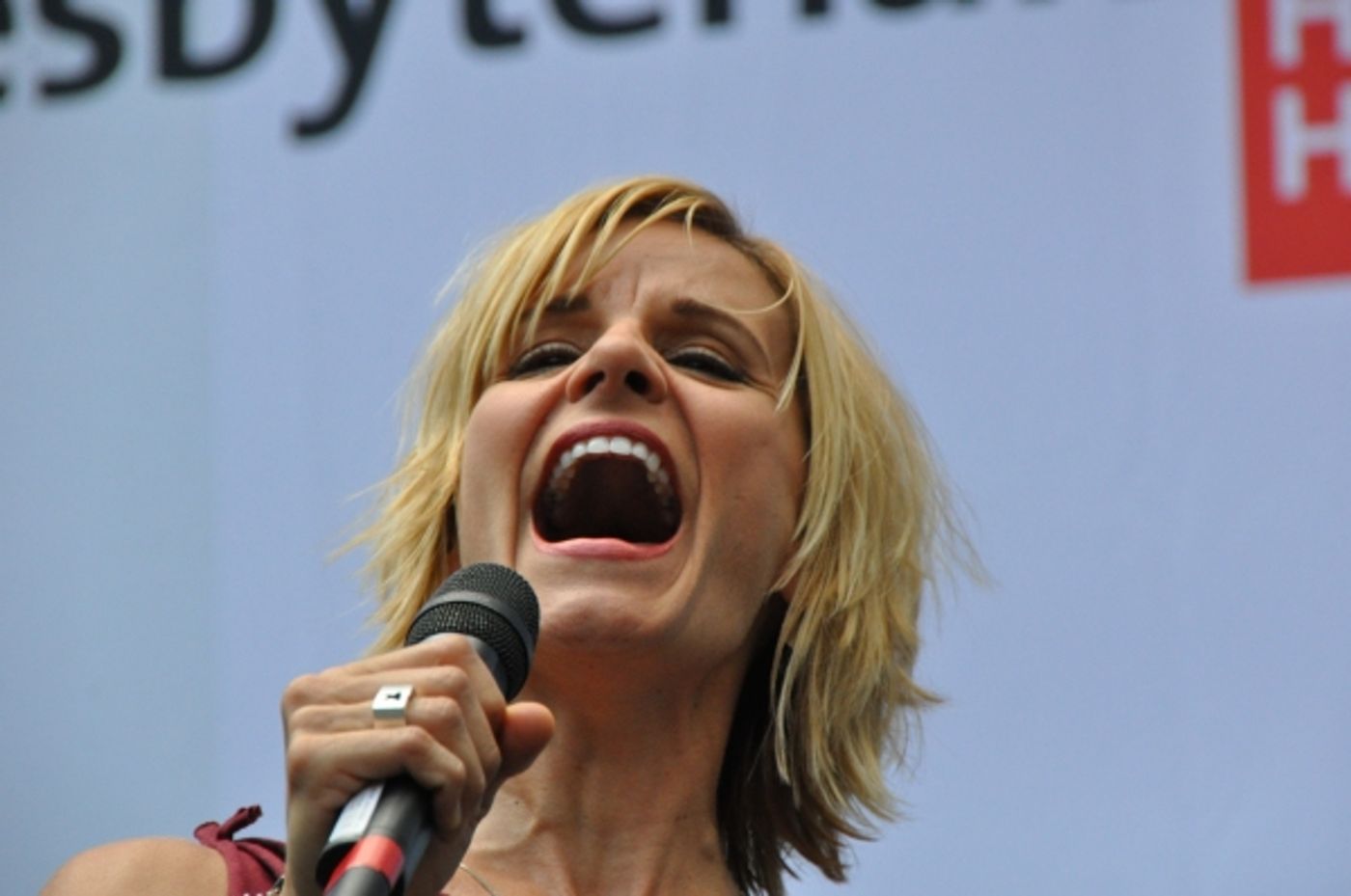 Photo Coverage: BROADWAY IN BRYANT PARK is Back for the Summer with Casts of IF/THEN, ROCKY, WICKED & More!  Image