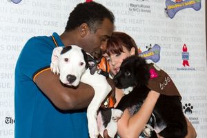 Norm Lewis, Sierra Boggess @ BroadwayWorld Norm Lewis, Sierra Boggess Photo