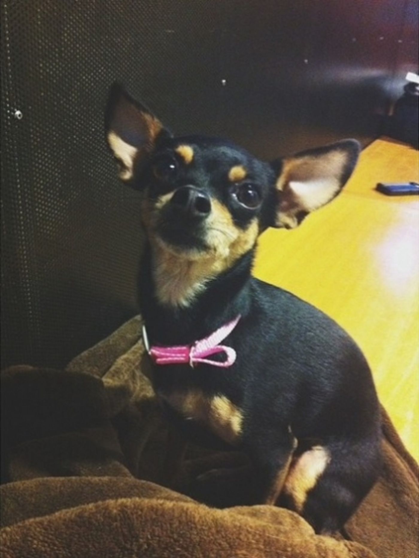 Photo Flash: Saturday Intermission Pics, Part 2 - 7/12- Regionals Take the Spotlight Photo Flash: Saturday Intermission Pics, Part 2 - 7/12- Regionals Take the Spotlight Image