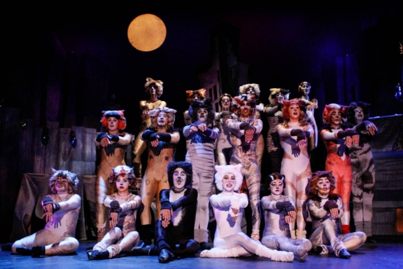 Photo Flash: First Look at BroadHollow Theatre's CATS Photo Flash: First Look at BroadHollow Theatre's CATS Image