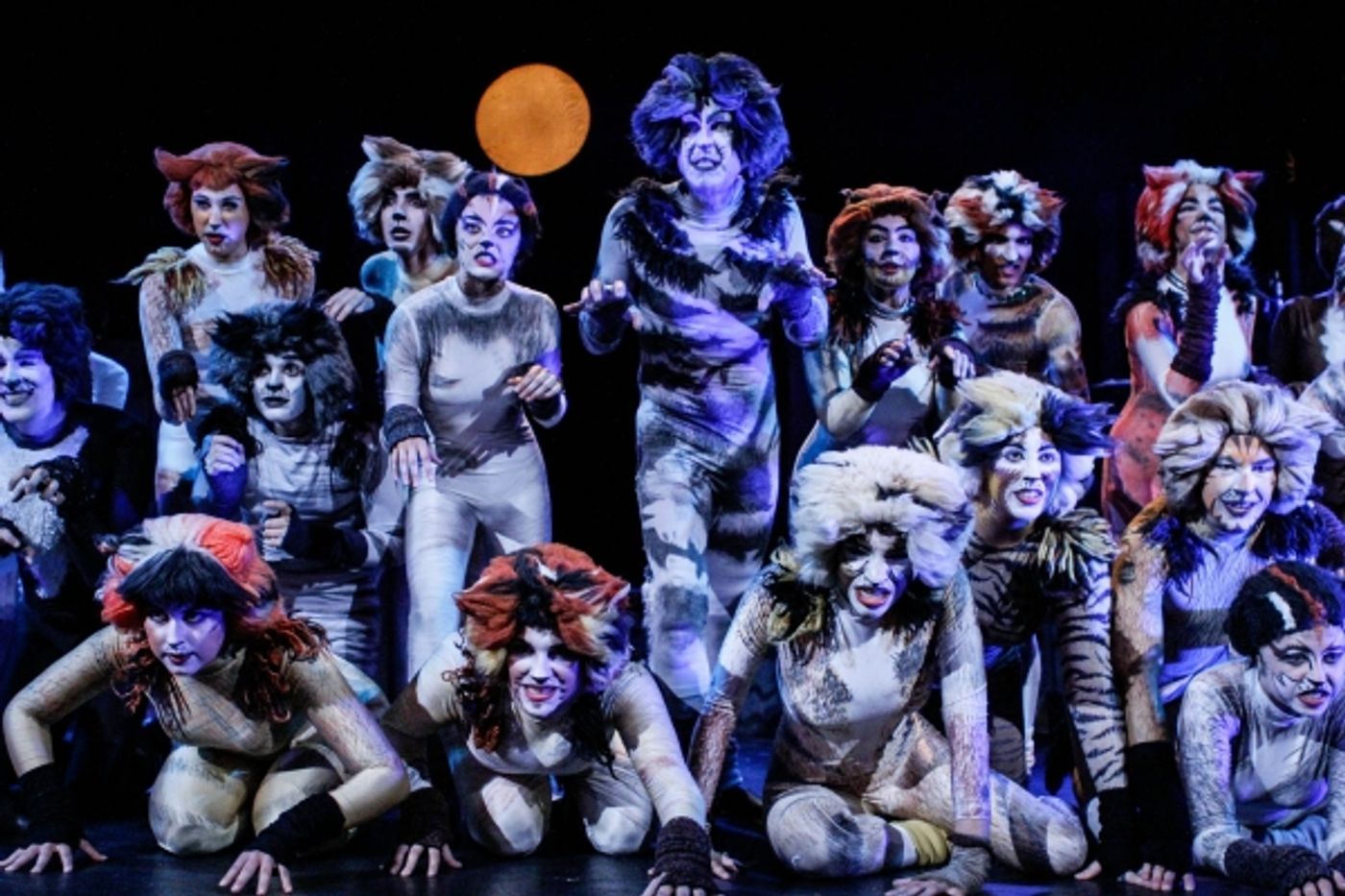 Photo Flash: First Look at BroadHollow Theatre's CATS Photo Flash: First Look at BroadHollow Theatre's CATS Image
