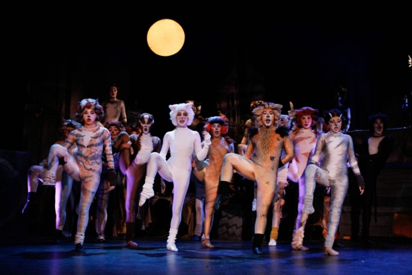 Photo Flash: First Look at BroadHollow Theatre's CATS Photo Flash: First Look at BroadHollow Theatre's CATS Image