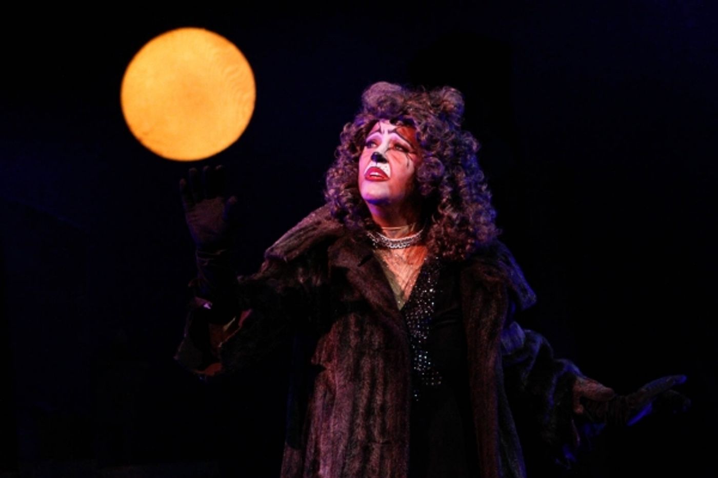 Photo Flash: First Look at BroadHollow Theatre's CATS Photo Flash: First Look at BroadHollow Theatre's CATS Image