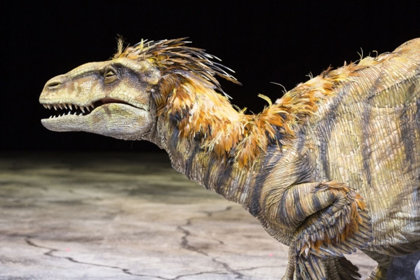 Photo Flash: WALKING WITH DINOSAURS Struts the Catwalk with 'Dinosaur Feathered Fashion Show'  Image