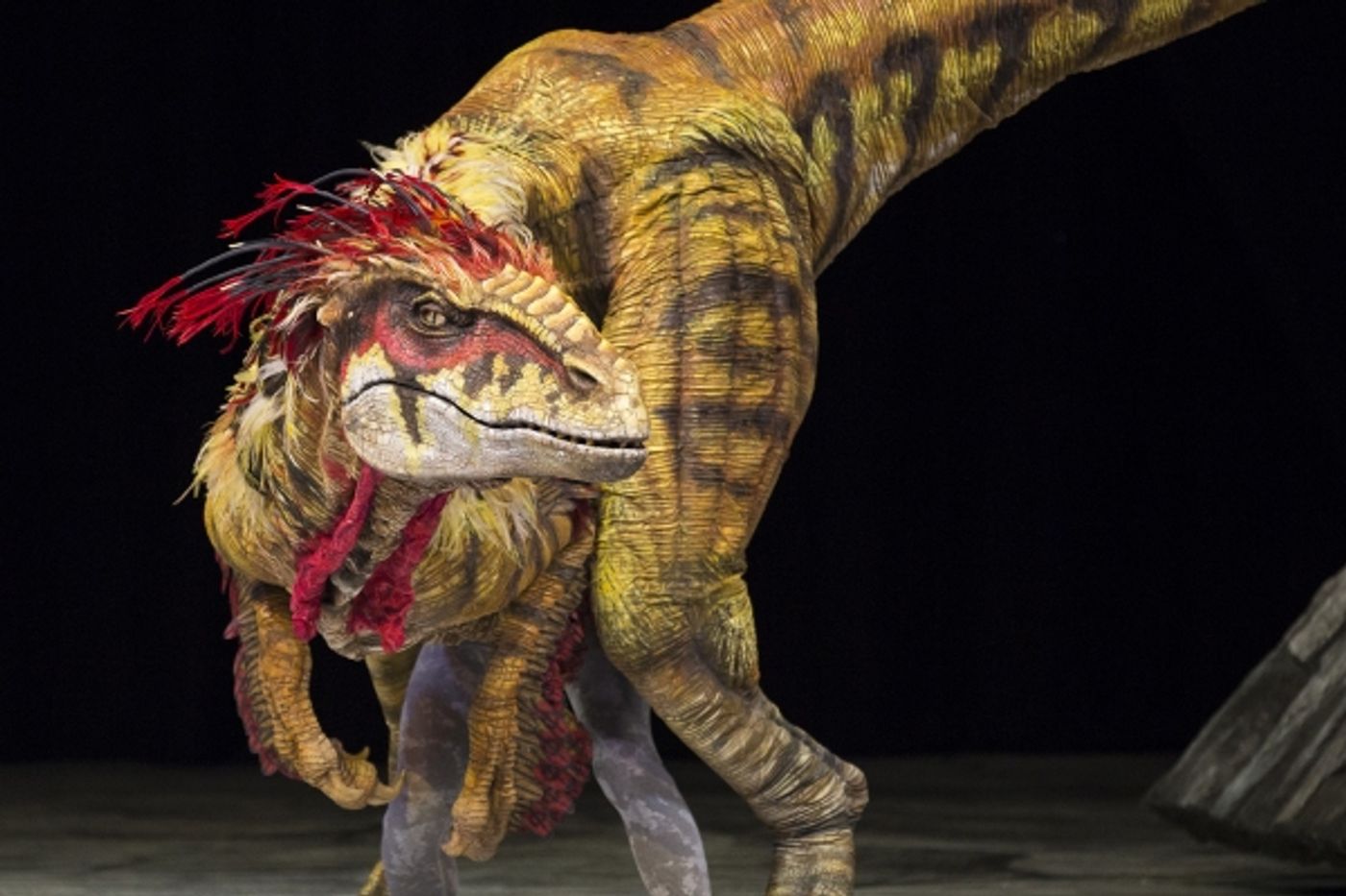 Photo Flash: WALKING WITH DINOSAURS Struts the Catwalk with 'Dinosaur Feathered Fashion Show'  Image