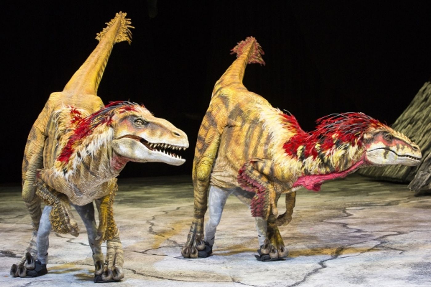 Photo Flash: WALKING WITH DINOSAURS Struts the Catwalk with 'Dinosaur Feathered Fashion Show'  Image
