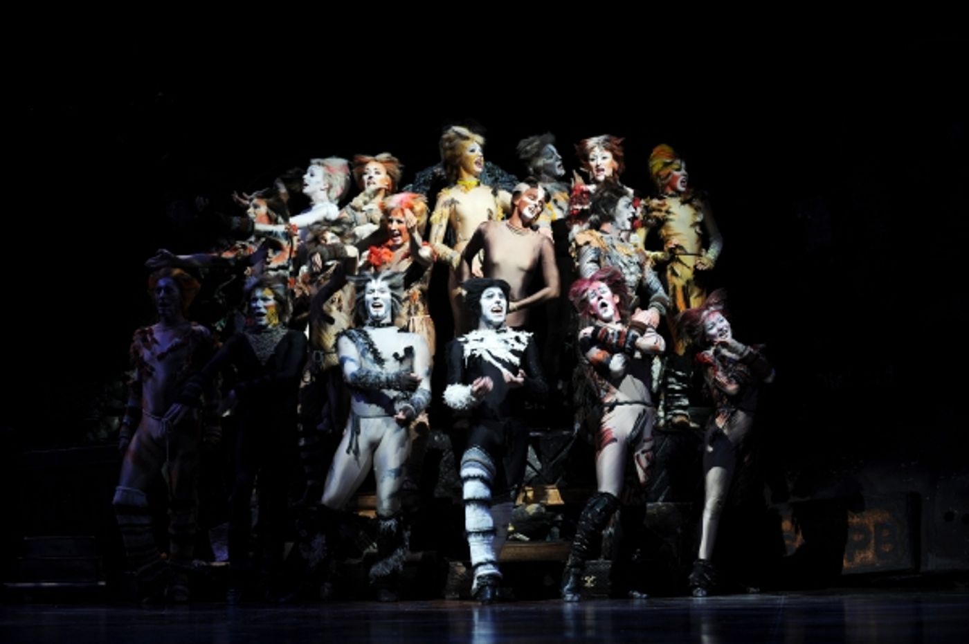 Photo Flash: Sneak Peek of Elizabeth Stanley & More in Pittsburgh CLO's CATS! Photo Flash: Sneak Peek of Elizabeth Stanley & More in Pittsburgh CLO's CATS! Image