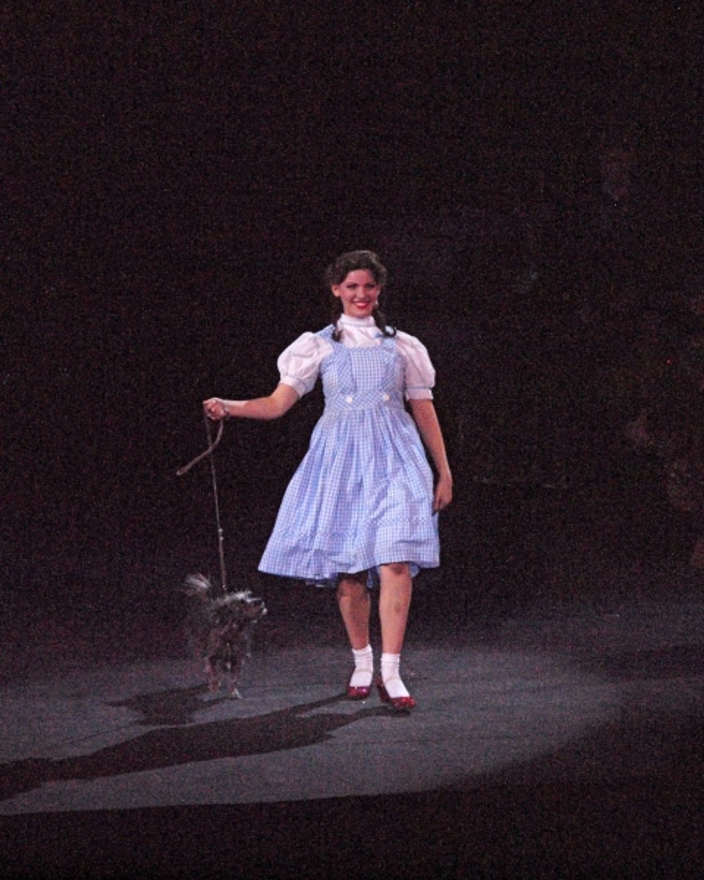 Photo Coverage: First Look at THE WIZARD OF OZ at Tuacahn Center for the Arts  Image