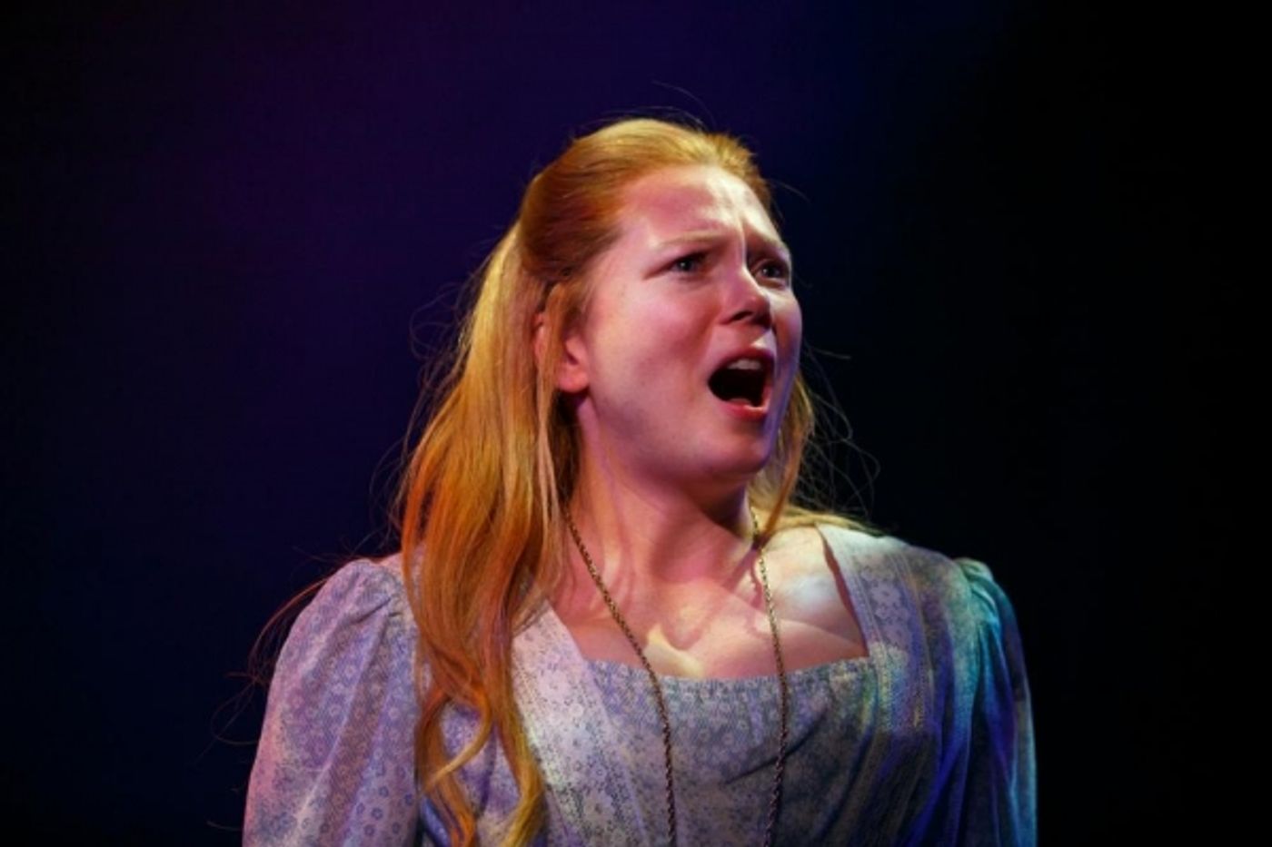 Photo Flash: First Look At SummerStage's Reimagined LES MISERABLES, Now Through August 3  Image