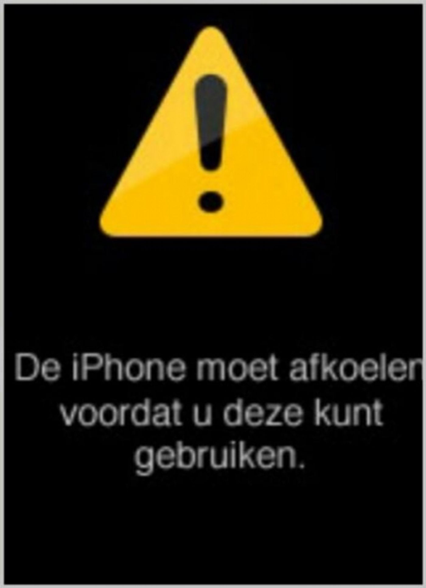 Photo Flash: Saturday Intermission Pics, 7/19- ROCKY Prepares for Closing, BULLETS Celebrates Zach Braff's Movie Release, and More! Photo Flash: Saturday Intermission Pics, 7/19- ROCKY Prepares for Closing, BULLETS Celebrates Zach Braff's Movie Release, and More! Image