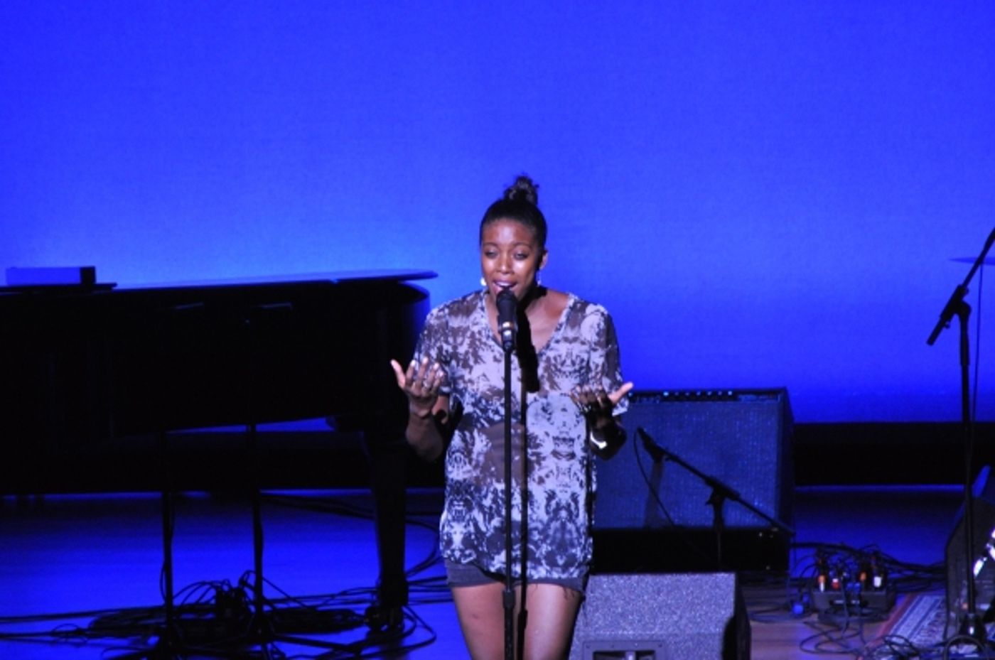Photo Coverage: Broadway Unites! Inside BROADWAY STANDS UP FOR FREEDOM Concert  Image